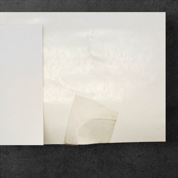 2004 Caddyshack American Express Poster Tiger Woods 27x38 Vintage Style Golf - Picture 10 of 14